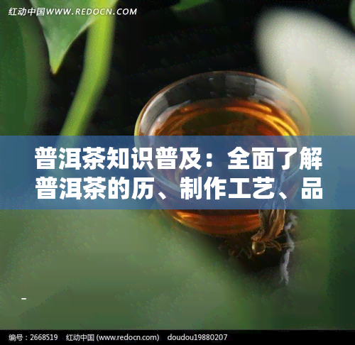 普洱茶知识普及：全面了解普洱茶的历、制作工艺、品鉴方法等