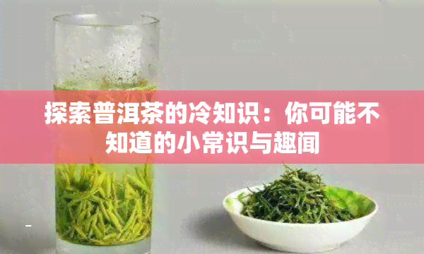 探索普洱茶的冷知识：你可能不知道的小常识与趣闻