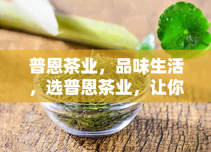 普恩茶业，品味生活，选普恩茶业，让你的口感升级！