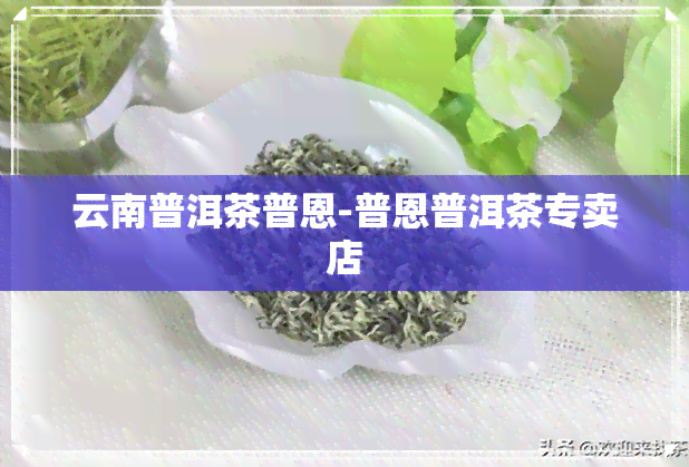 云南普洱茶普恩-普恩普洱茶专卖店