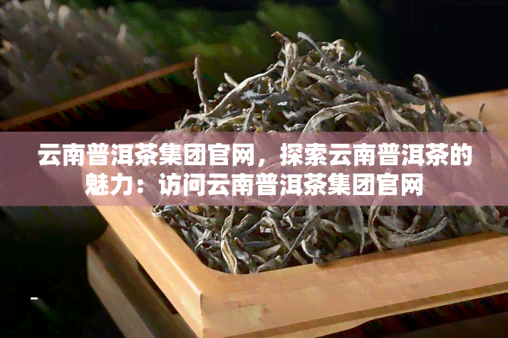 云南普洱茶集团官网，探索云南普洱茶的魅力：访问云南普洱茶集团官网