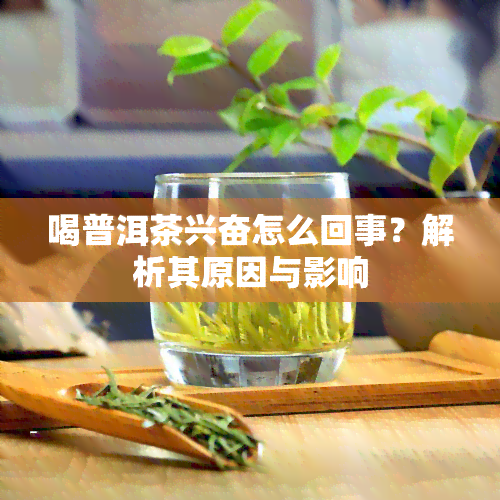 喝普洱茶兴奋怎么回事？解析其原因与影响