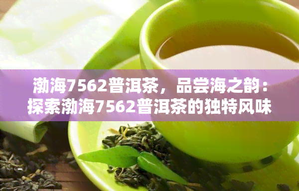 渤海7562普洱茶，品尝海之韵：探索渤海7562普洱茶的独特风味