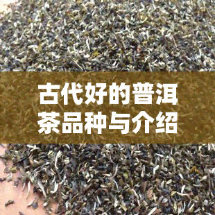 古代好的普洱茶品种与介绍