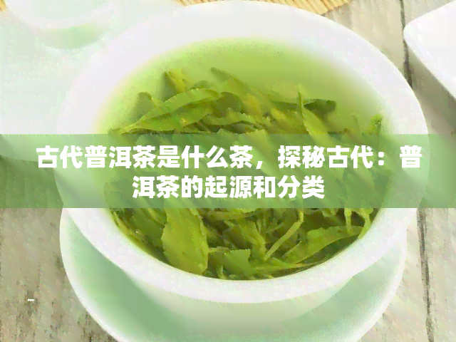 古代普洱茶是什么茶，探秘古代：普洱茶的起源和分类