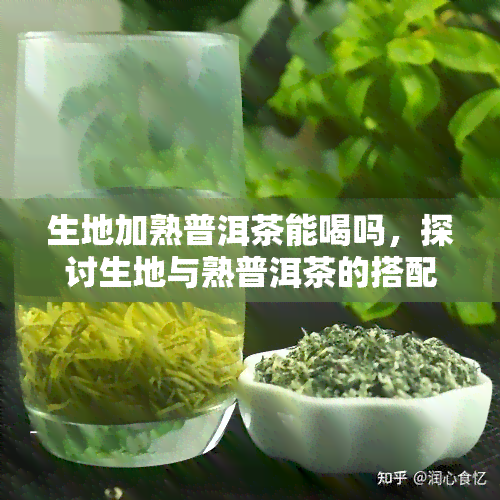 生地加熟普洱茶能喝吗，探讨生地与熟普洱茶的搭配饮用可能性