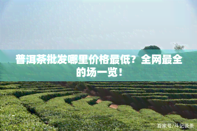 普洱茶批发哪里价格更低？全网最全的场一览！