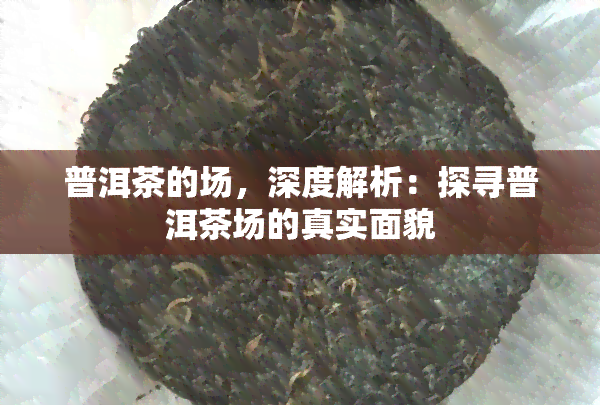 普洱茶的场，深度解析：探寻普洱茶场的真实面貌