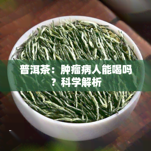 普洱茶：肿瘤病人能喝吗？科学解析