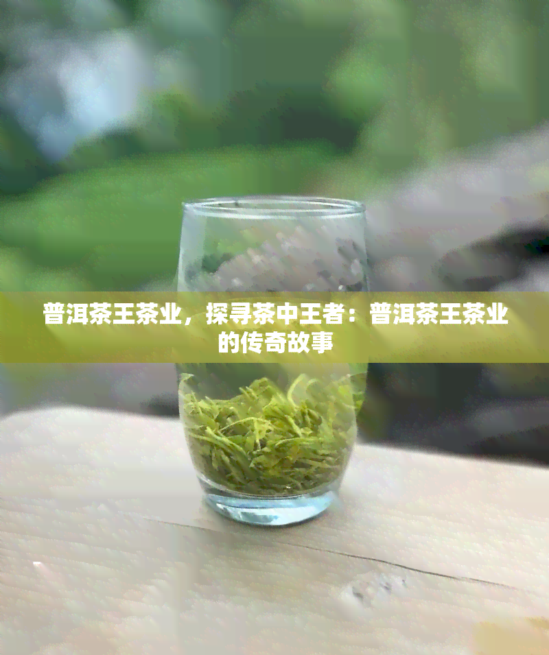 普洱茶王茶业，探寻茶中王者：普洱茶王茶业的传奇故事