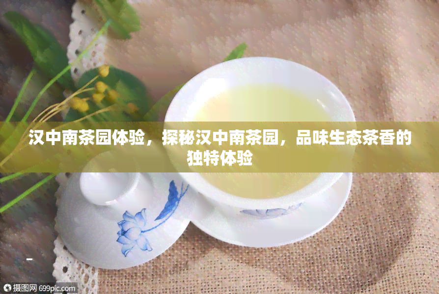 汉中南茶园体验，探秘汉中南茶园，品味生态茶香的独特体验