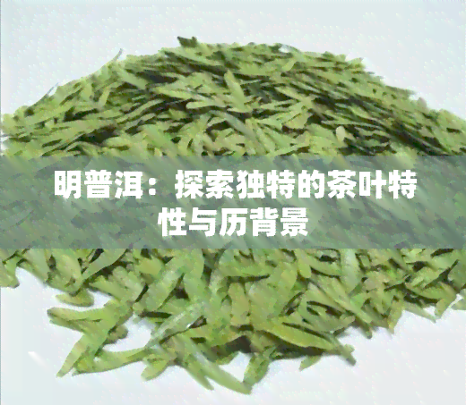 明普洱：探索独特的茶叶特性与历背景