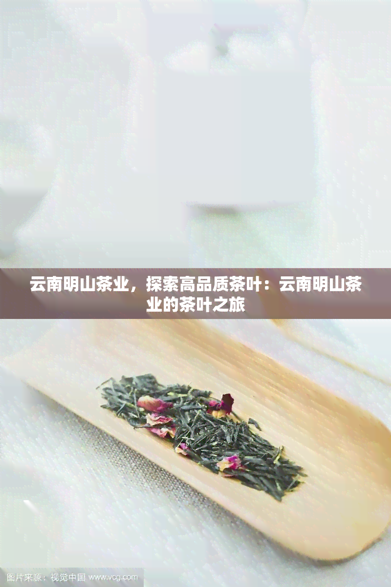 云南明山茶业，探索高品质茶叶：云南明山茶业的茶叶之旅