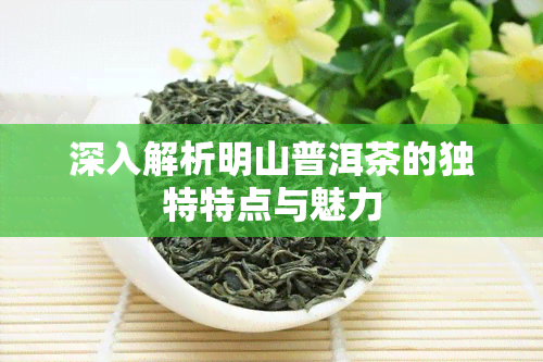 深入解析明山普洱茶的独特特点与魅力