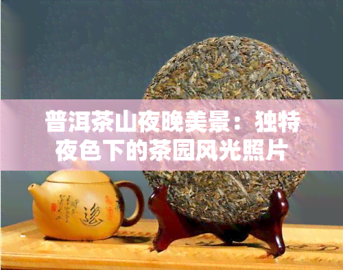 普洱茶山夜晚美景：独特夜色下的茶园风光照片