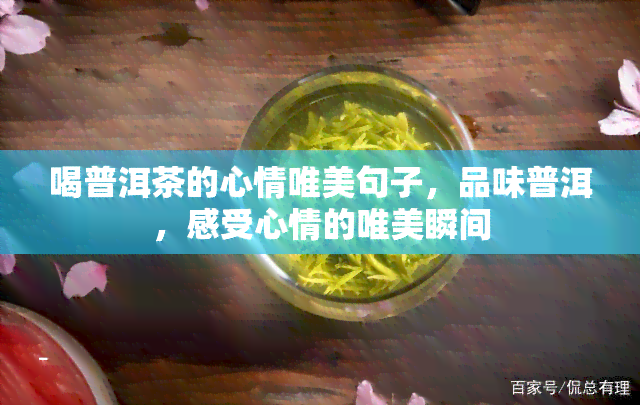 喝普洱茶的心情唯美句子，品味普洱，感受心情的唯美瞬间