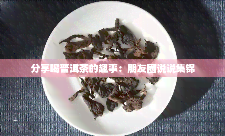 分享喝普洱茶的趣事：朋友圈说说集锦