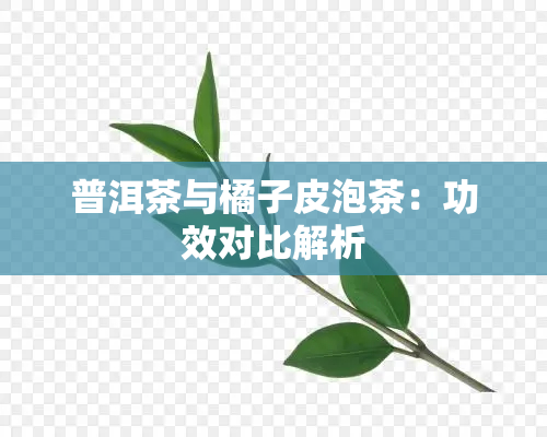 普洱茶与橘子皮泡茶：功效对比解析