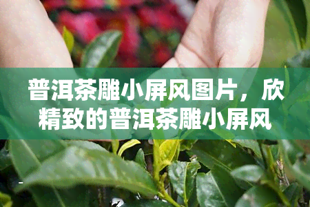 普洱茶雕小屏风图片，欣精致的普洱茶雕小屏风图片