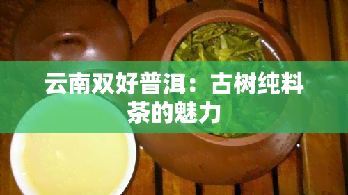 云南双好普洱：古树纯料茶的魅力