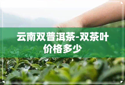 云南双普洱茶-双茶叶价格多少