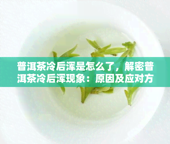 普洱茶冷后浑是怎么了，解密普洱茶冷后浑现象：原因及应对方法