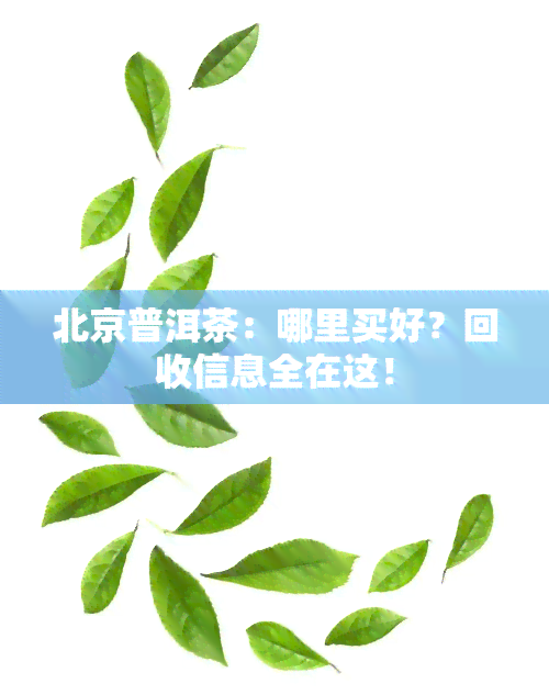 北京普洱茶：哪里买好？回收信息全在这！