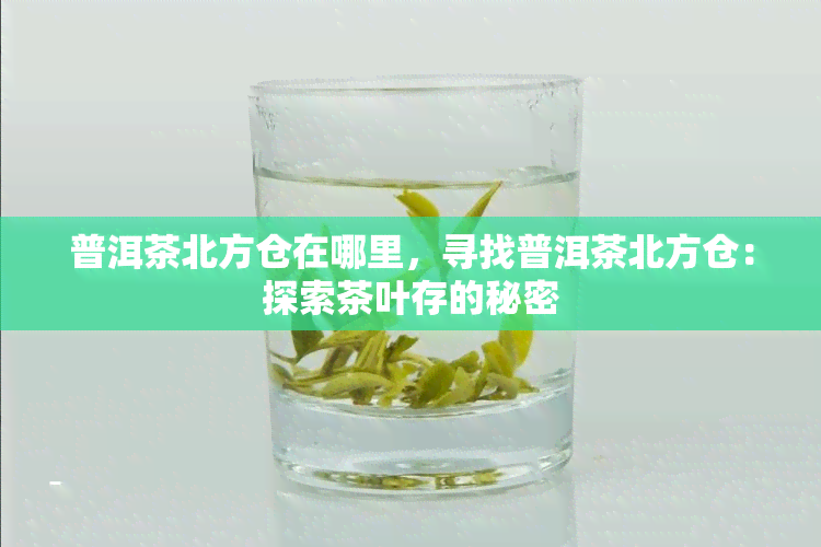 普洱茶北方仓在哪里，寻找普洱茶北方仓：探索茶叶存的秘密