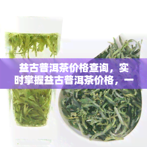 益古普洱茶价格查询，实时掌握益古普洱茶价格，一网打尽查询信息！