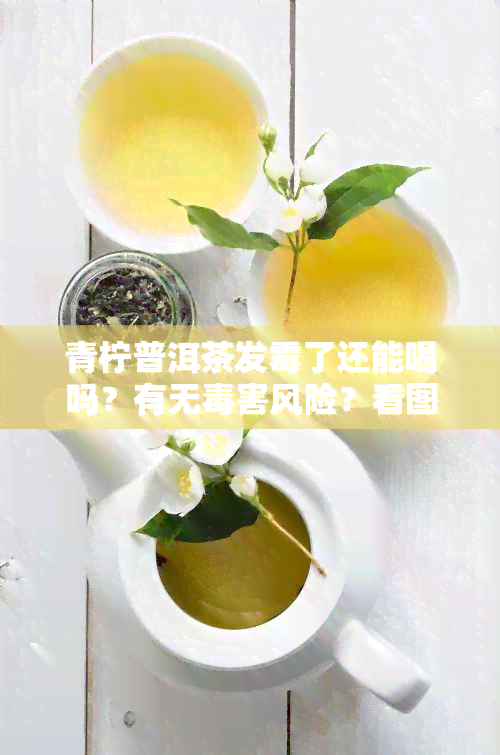 青柠普洱茶发霉了还能喝吗？有无害风险？看图解析