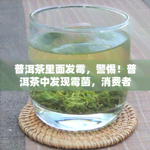 普洱茶里面发霉，警惕！普洱茶中发现霉菌，消费者应如何鉴别和处理？