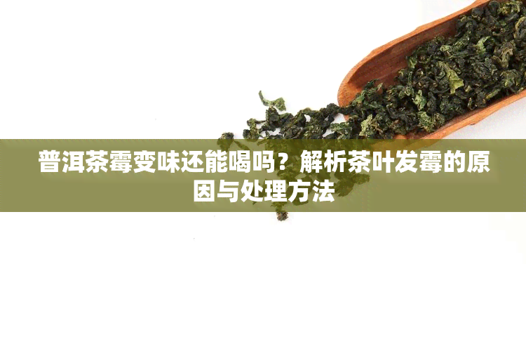 普洱茶霉变味还能喝吗？解析茶叶发霉的原因与处理方法