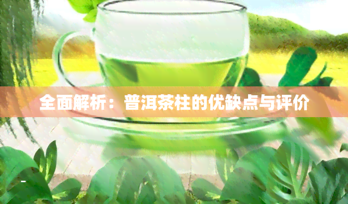 全面解析：普洱茶柱的优缺点与评价