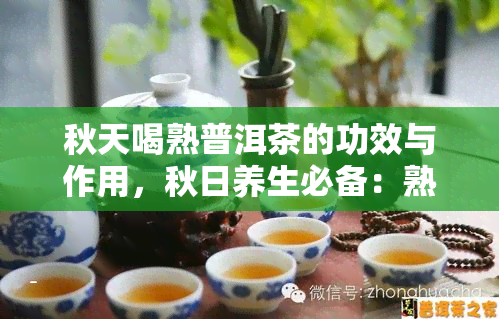 秋天喝熟普洱茶的功效与作用，秋日养生必备：熟普洱茶的五大功效与作用解析