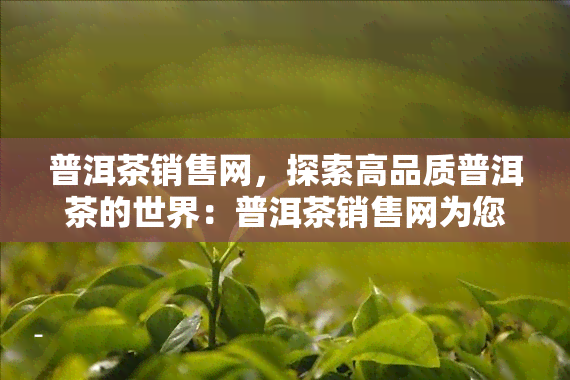 普洱茶销售网，探索高品质普洱茶的世界：普洱茶销售网为您提供最新、更优质的茶叶选择！