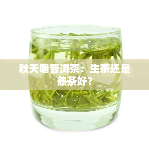 秋天喝普洱茶：生茶还是熟茶好？