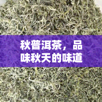 秋普洱茶，品味秋天的味道：探索秋普洱茶的魅力