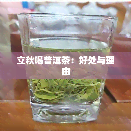 立秋喝普洱茶：好处与理由