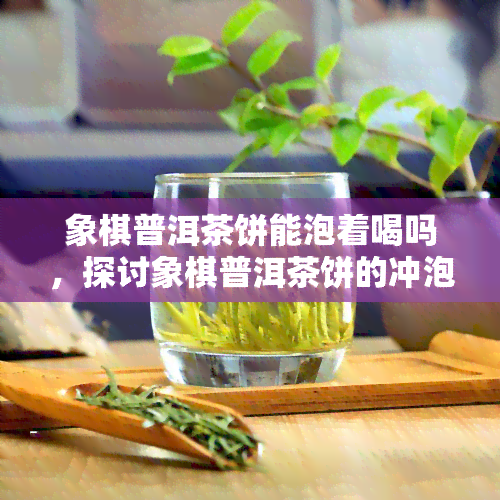 象棋普洱茶饼能泡着喝吗，探讨象棋普洱茶饼的冲泡方法：能否像普通茶叶一样泡着喝？