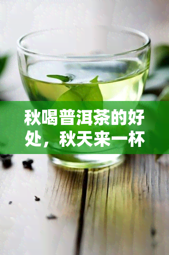 秋喝普洱茶的好处，秋天来一杯，普洱茶的五大好处你一定要知道！