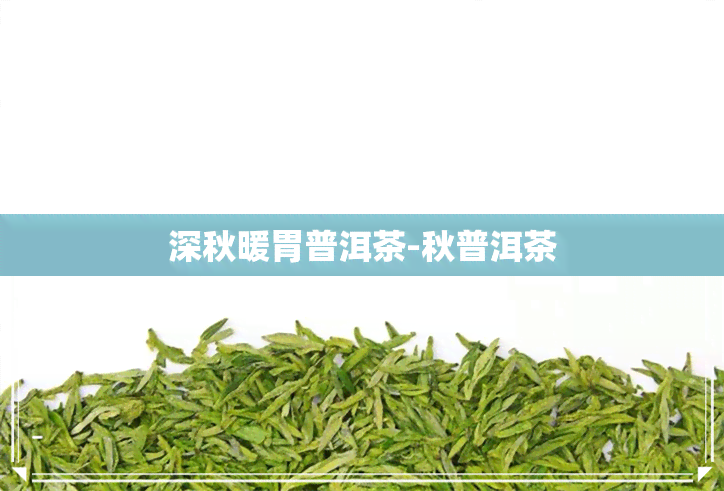 深秋暖胃普洱茶-秋普洱茶