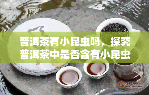 普洱茶有小昆虫吗，探究普洱茶中是否含有小昆虫？