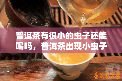 普洱茶有很小的虫子还能喝吗，普洱茶出现小虫子，是否还能安全饮用？