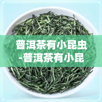 普洱茶有小昆虫-普洱茶有小昆虫吗