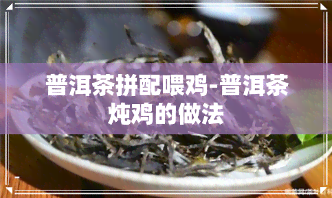 普洱茶拼配喂鸡-普洱茶炖鸡的做法