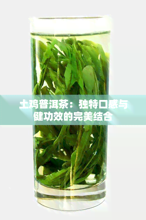 土鸡普洱茶：独特口感与健功效的完美结合