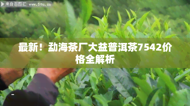 最新！勐海茶厂大益普洱茶7542价格全解析