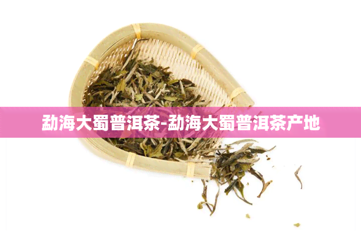 勐海大蜀普洱茶-勐海大蜀普洱茶产地