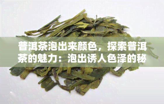 普洱茶泡出来颜色，探索普洱茶的魅力：泡出诱人色泽的秘诀