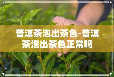 普洱茶泡出茶色-普洱茶泡出茶色正常吗